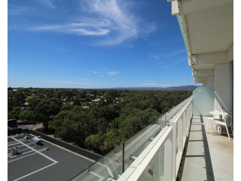 33 Warwick Street, Walkerville SA 5081
