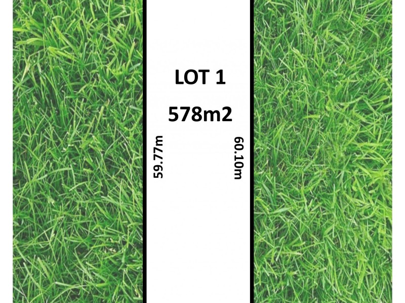 33 Thurles Street, St Marys SA 5042