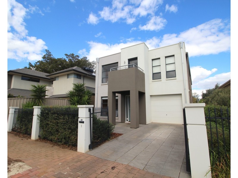 1 Hoxton Street, Goodwood SA 5034