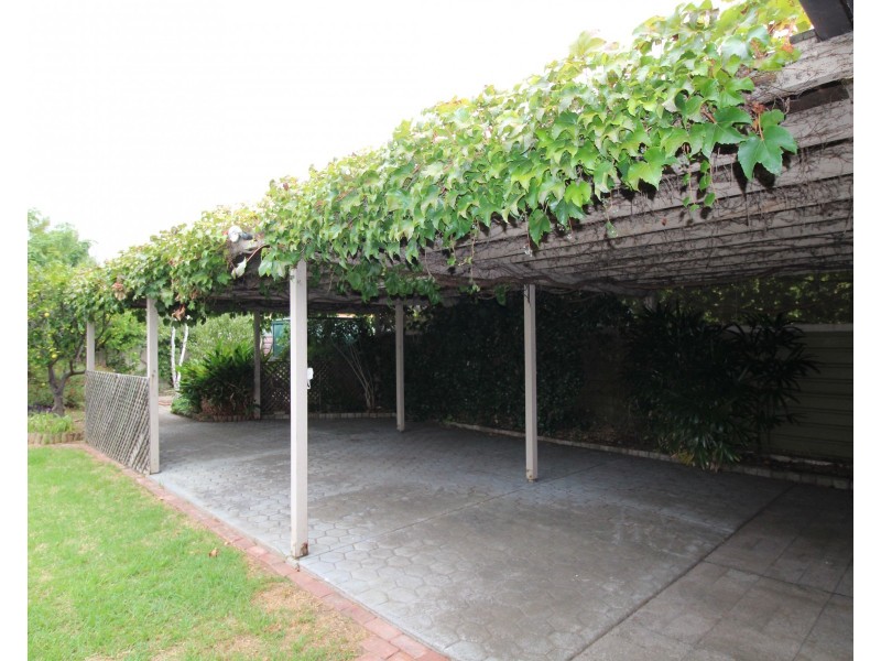 18 Day Avenue, Daw Park SA 5041