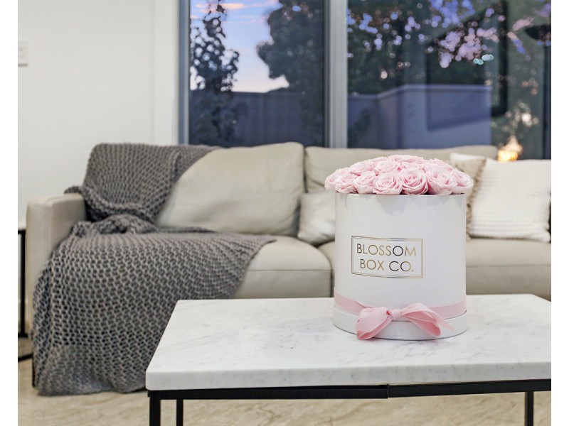 25E Bice Street, Marleston SA 5033