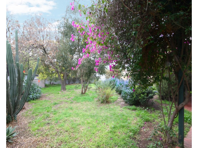 59 Scottish Avenue, Clovelly Park SA 5042