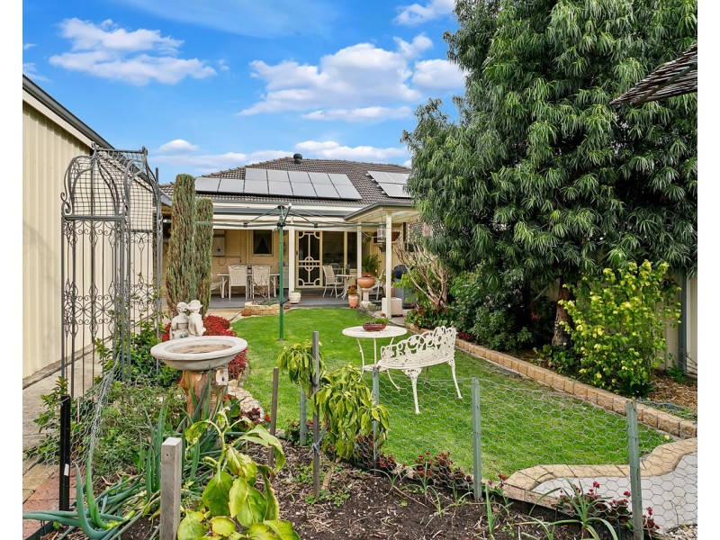 51 Ayre Street, South Plympton SA 5038