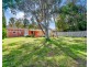 56 Auricchio Avenue, St Marys SA 5042