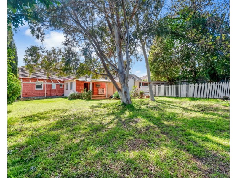 56 Auricchio Avenue, St Marys SA 5042