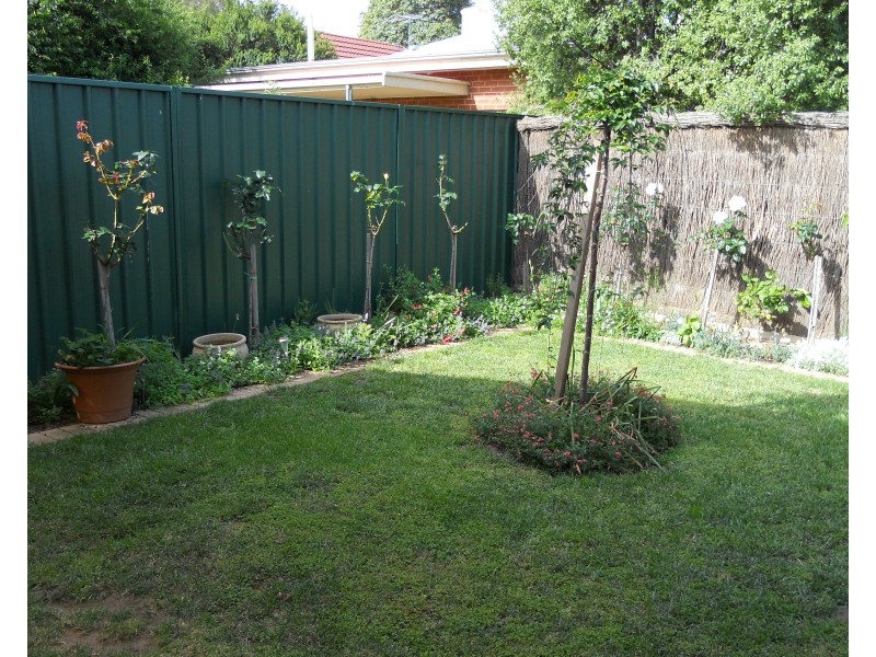 55a East Avenue, Clarence Park SA 5034