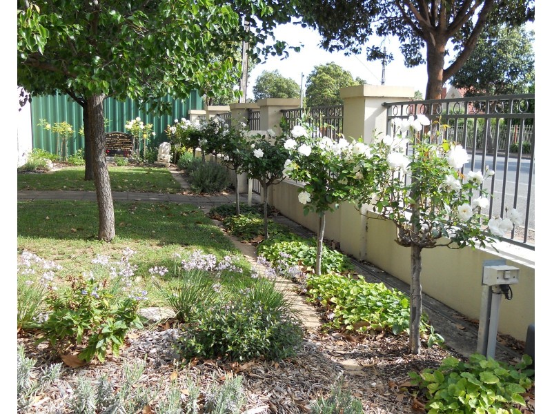 55a East Avenue, Clarence Park SA 5034
