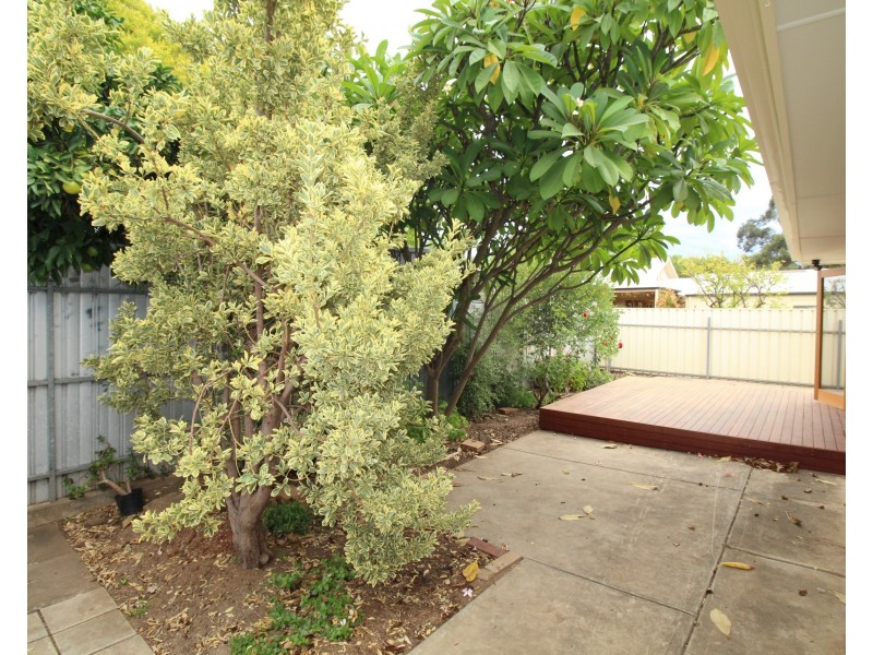 2/1 Ophir Street, Goodwood SA 5034