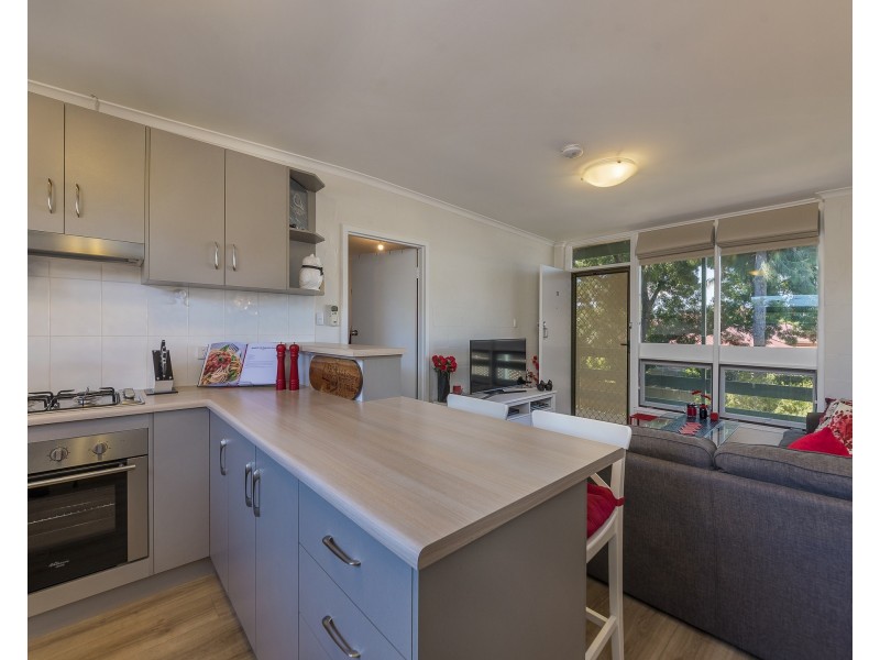 11/17 Rosella Street, Payneham SA 5070