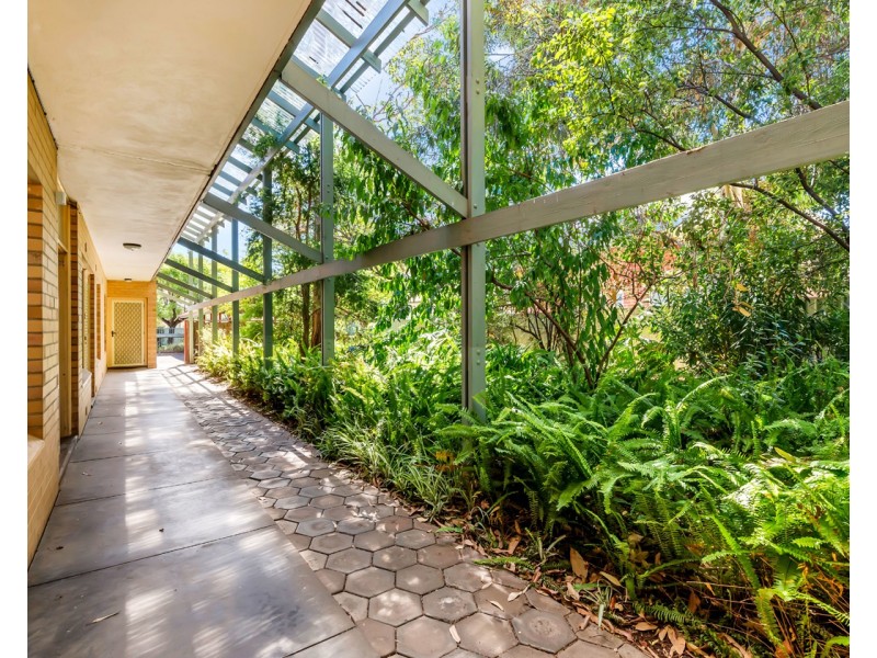 3/306 Fullarton Road, Fullarton SA 5063