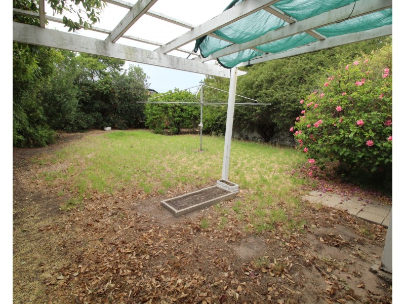 43 Stradbroke Avenue, Plympton Park SA 5038