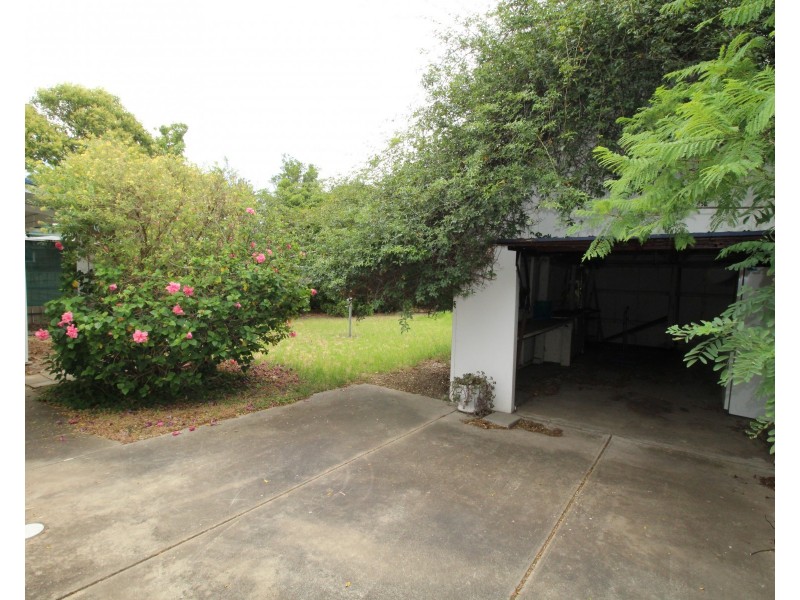 43 Stradbroke Avenue, Plympton Park SA 5038