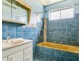 31 Curzon Street, Camden Park SA 5038