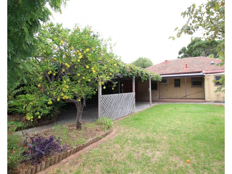 18 Day Avenue, Daw Park SA 5041