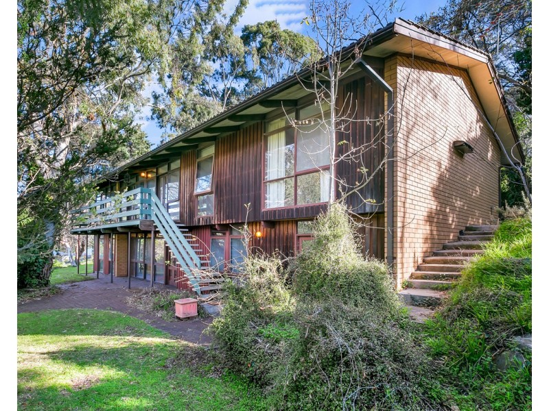 16 Gratton Street, Belair SA 5052