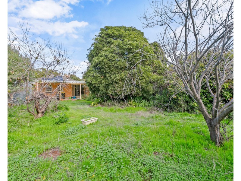 1 Cardiff Street, Cumberland Park SA 5041