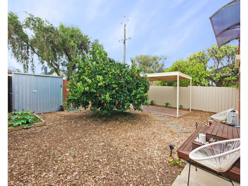 1 Windsor Avenue, Clovelly Park SA 5042