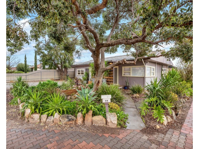 64 Dorene Street, St Marys SA 5042