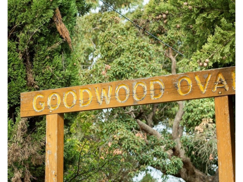 1/184 Goodwood Road, Millswood SA 5034