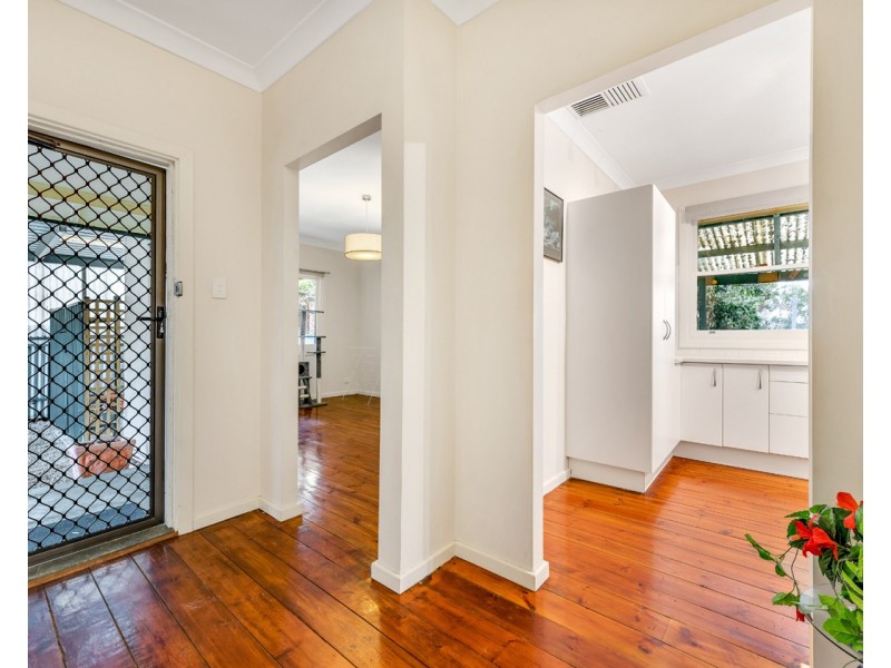 84 Cashel Street, St Marys SA 5042