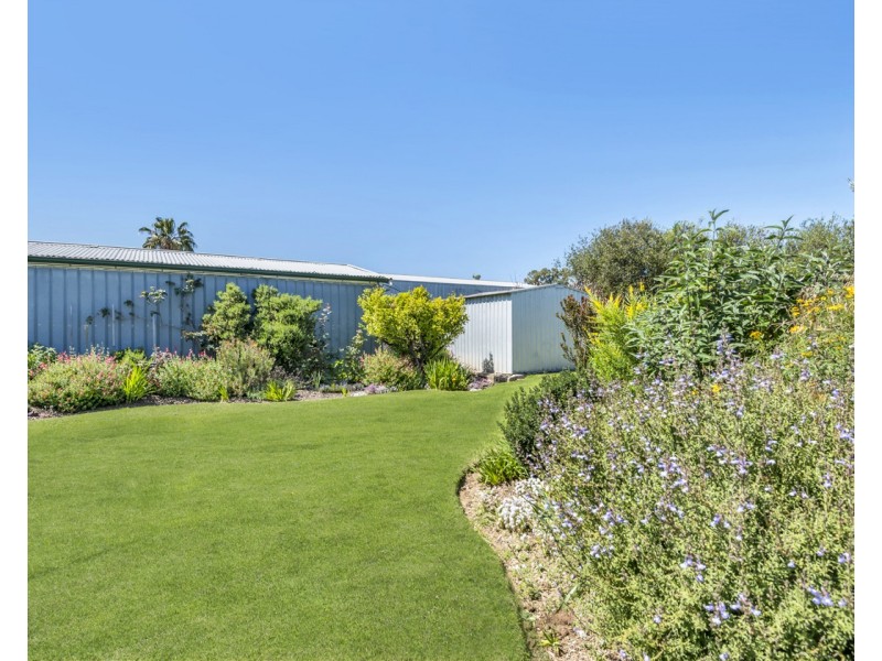 4 Glandore Avenue, Clovelly Park SA 5042