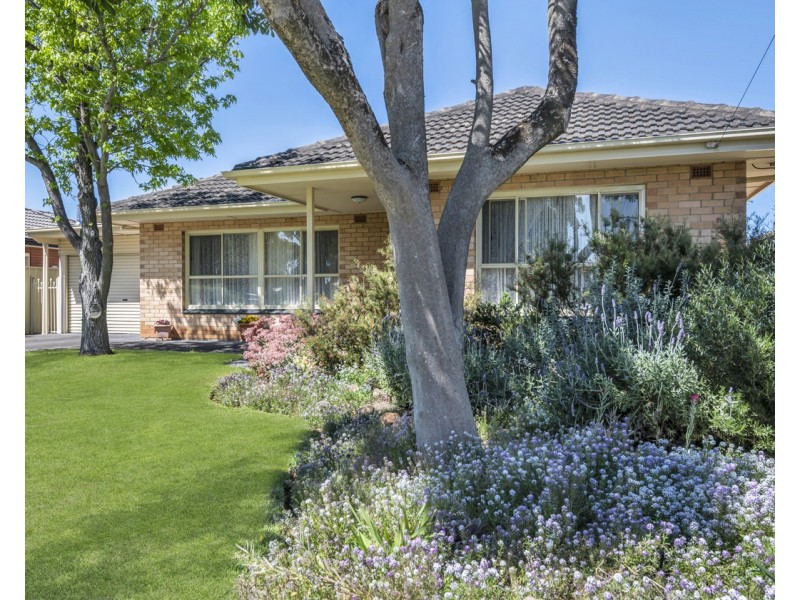 4 Glandore Avenue, Clovelly Park SA 5042