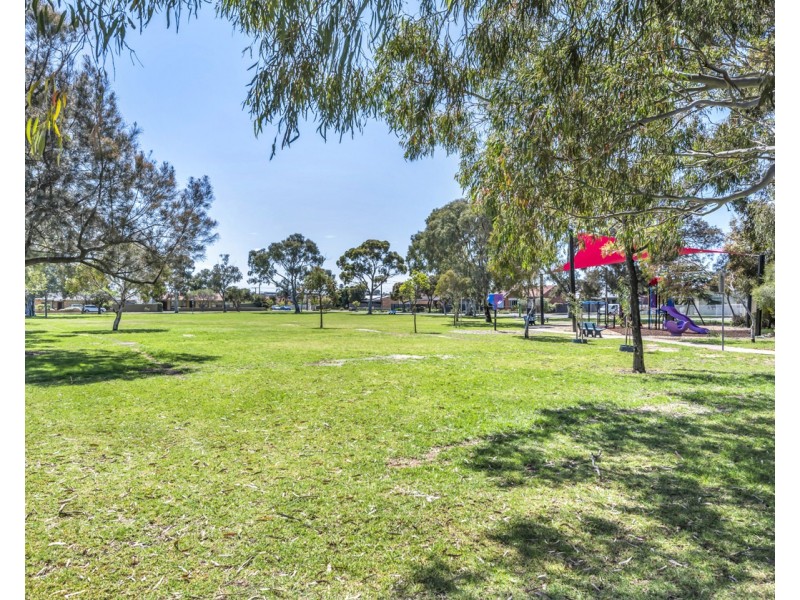 4 Glandore Avenue, Clovelly Park SA 5042