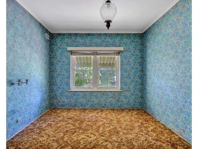 20 Blackler Avenue, Plympton Park SA 5038