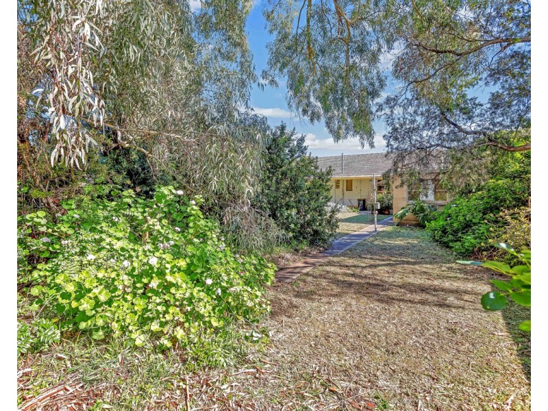 20 Blackler Avenue, Plympton Park SA 5038