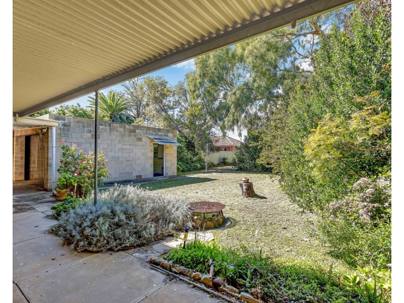 20 Blackler Avenue, Plympton Park SA 5038