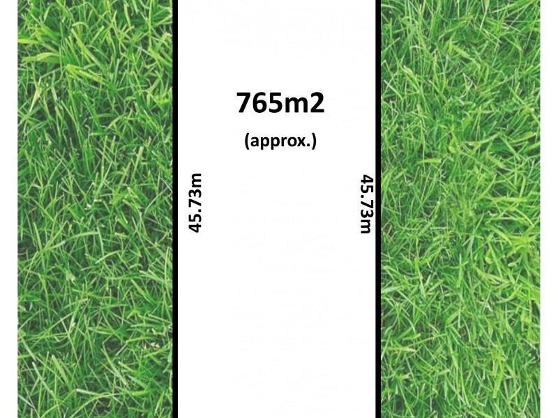 20 Blackler Avenue, Plympton Park SA 5038