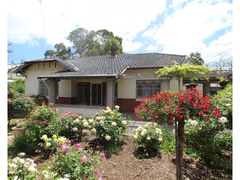 18 Cranbrook Avenue, Millswood SA 5034