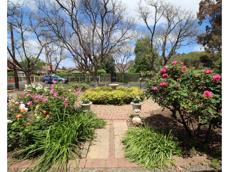 18 Cranbrook Avenue, Millswood SA 5034