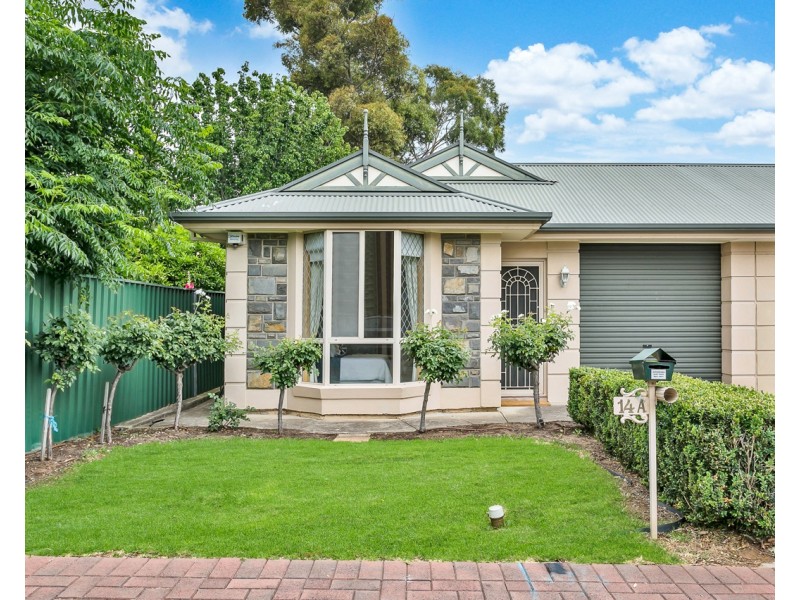 14A Windsor Road, Glenunga SA 5064
