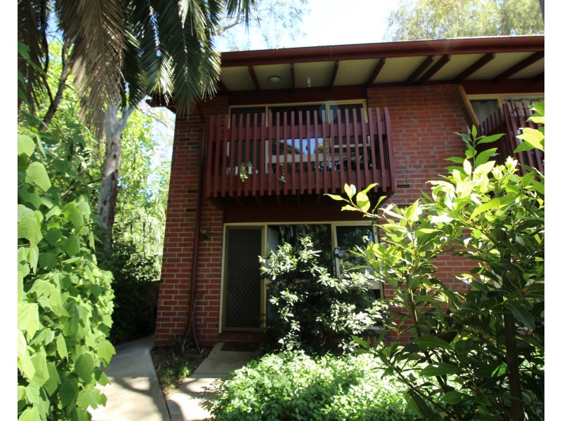 1/36 Trevelyan Street, Wayville SA 5034