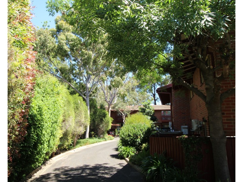 1/36 Trevelyan Street, Wayville SA 5034