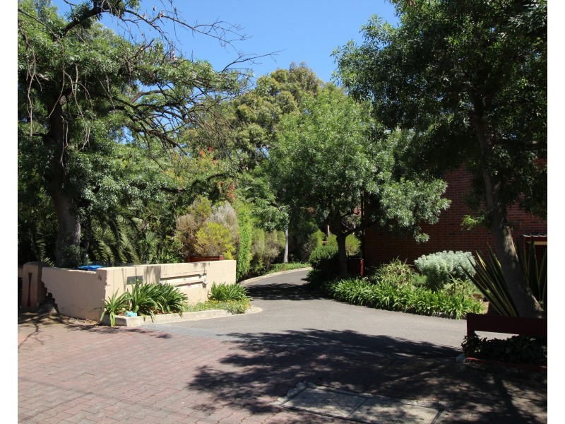 1/36 Trevelyan Street, Wayville SA 5034