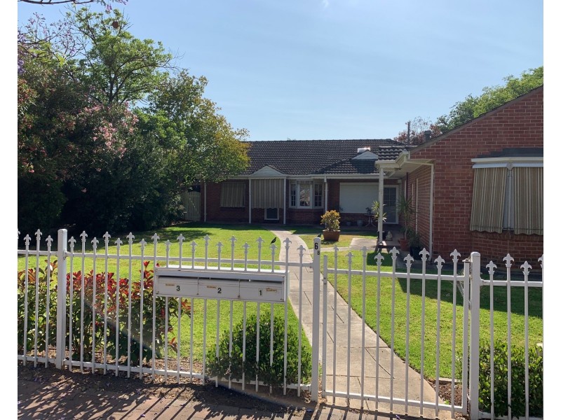 3/6B George Street, Unley Park SA 5061