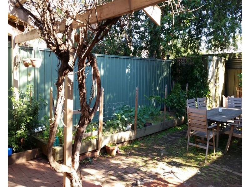 24 Douglas Street, Parkside SA 5063