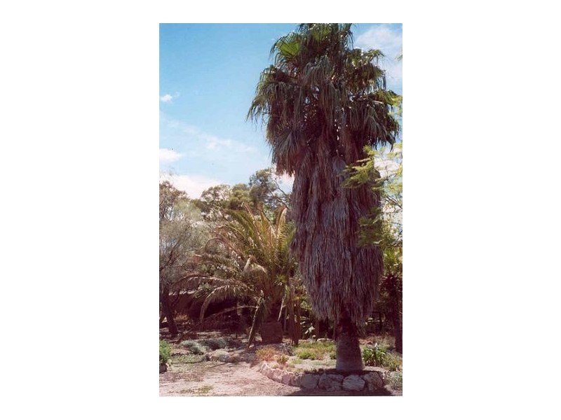 18 Tapley Street, Coffin Bay SA 5607