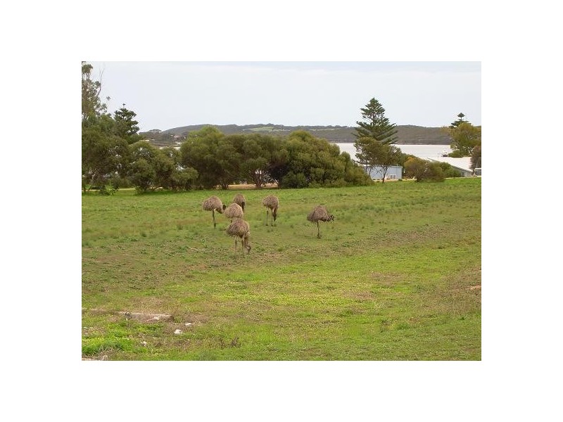 Coffin Bay SA 5607