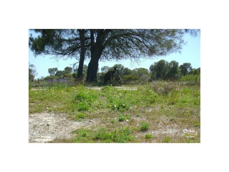 Lot 82 Holly Rise, Coffin Bay SA 5607