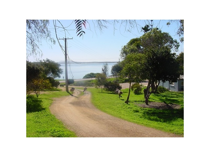 157 Esplanade, Coffin Bay SA 5607