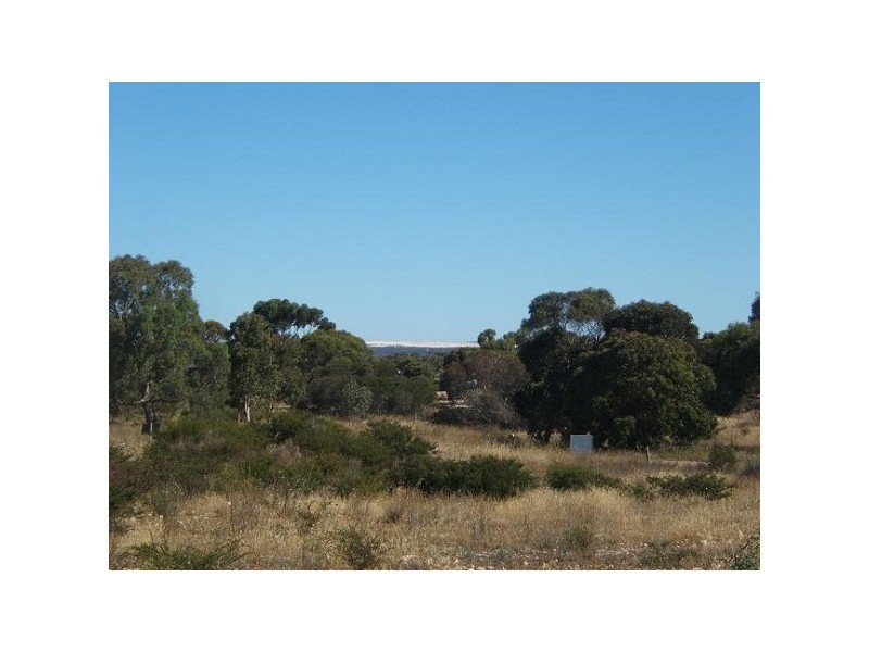 Lot 11 Weashir, Wangary SA 5607