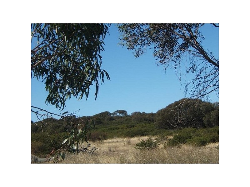 Lot 11 Weashir, Wangary SA 5607