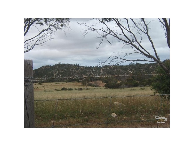 12 Grimm Road, Coffin Bay SA 5607