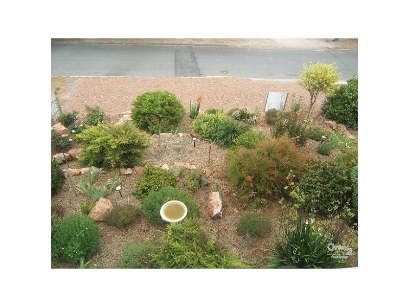 11 Pine Crescent, Coffin Bay SA 5607