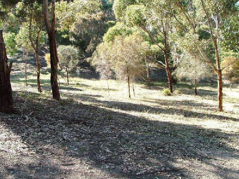 47 Falie Court, American River SA 5221