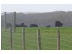Lot 10 Colemans Road, Gosse SA 5223