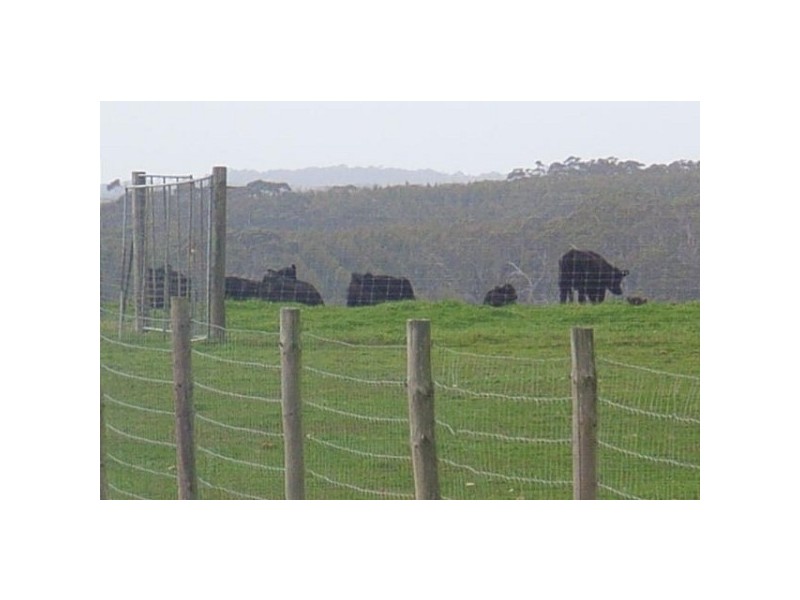 Lot 10 Colemans Road, Gosse SA 5223
